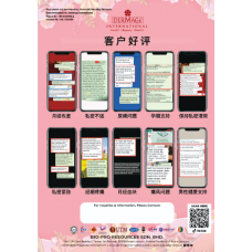 Flyers Anion Pad - CN (100 pcs)